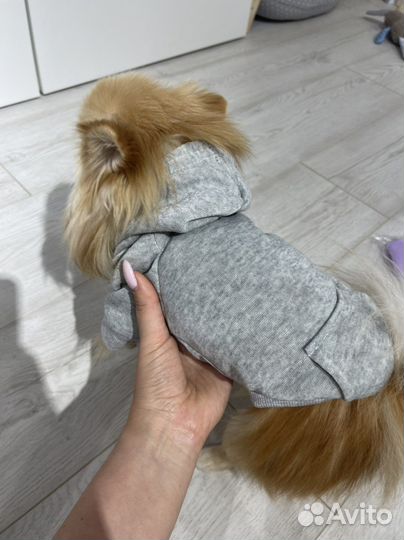 Худи толстовки для собак