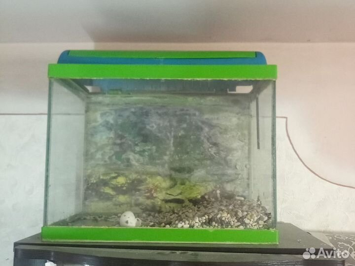 Аквариум