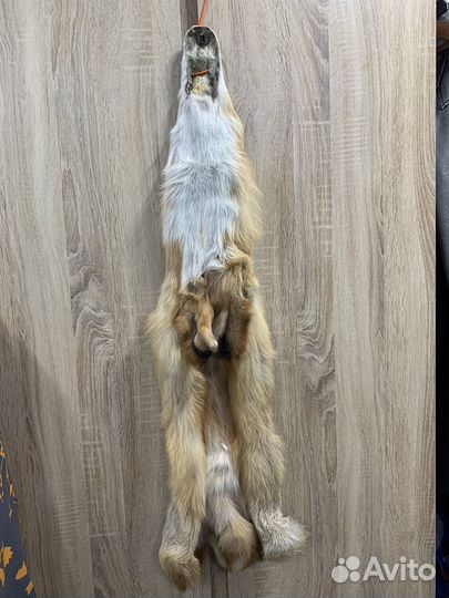 Шкура лисы рыжей