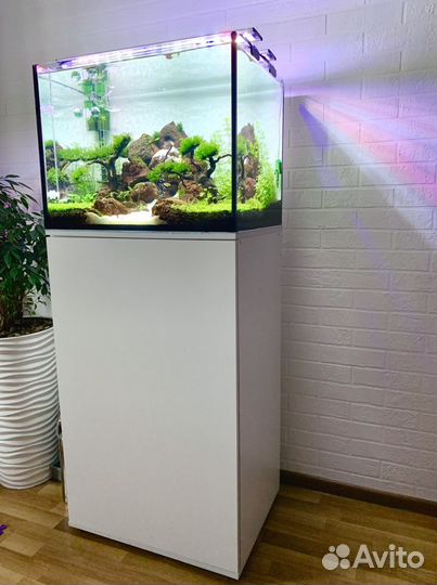 Обслуживание аквариума