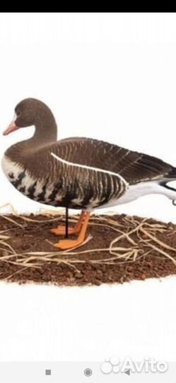 Чучела гусей для охоты