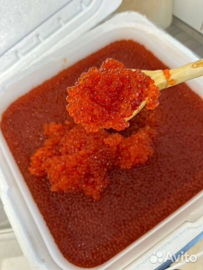 Форель и икра из Карелии свежайшая