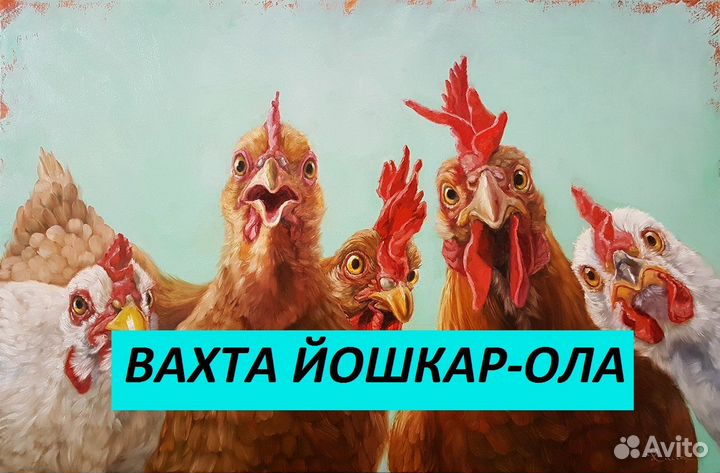 Вахта в Йошкар-Оле. Разнорабочий