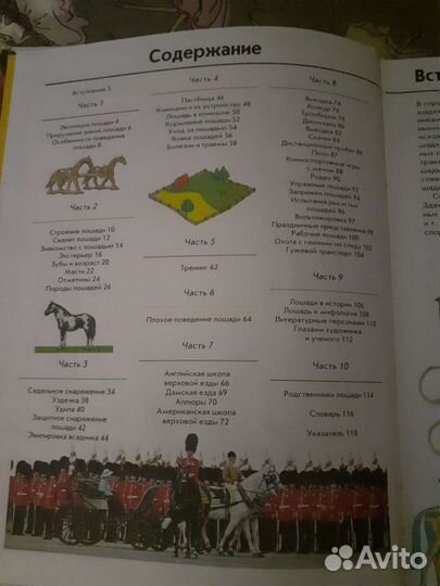 Книги про лошадей