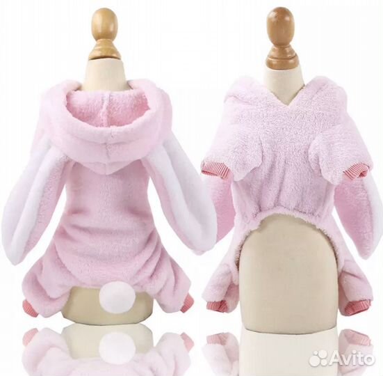 Одежда,носки и обувь для собак мини пород