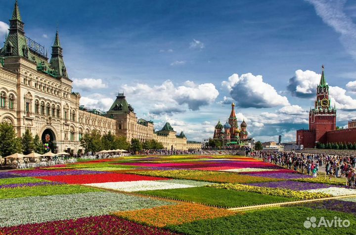 Go в г. Москву 5 дней