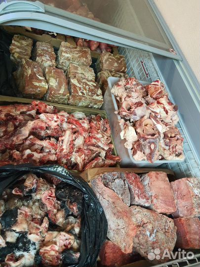 Мясо и супродукты для собак