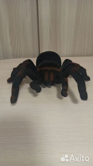 Паук на радиоуправлении