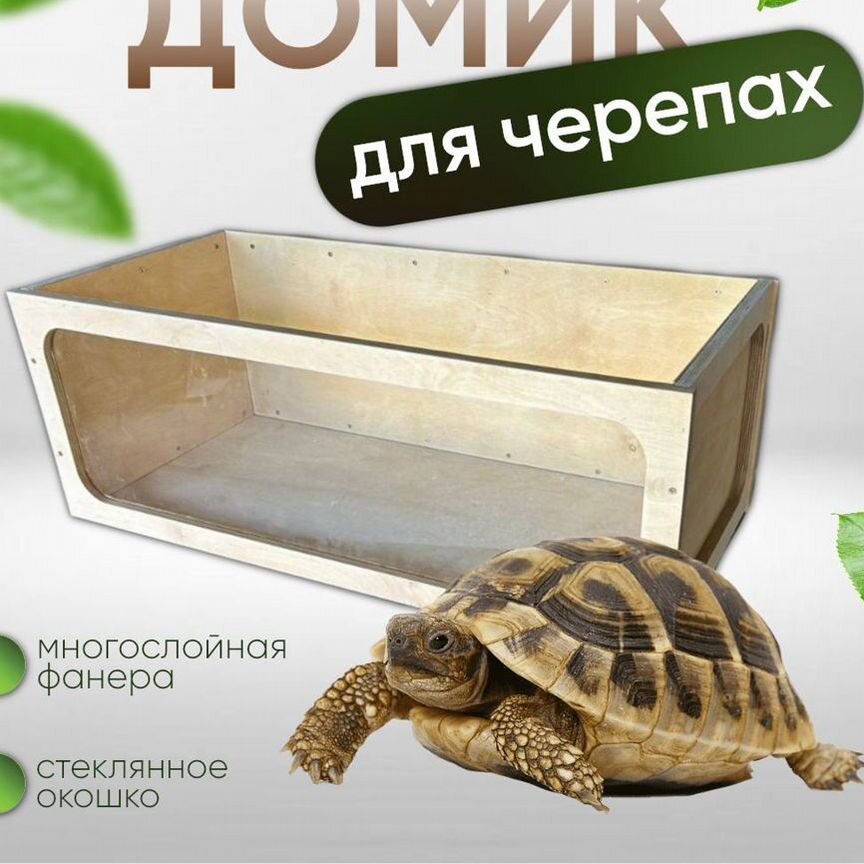 Ящик/террариум для сухопутных черепах