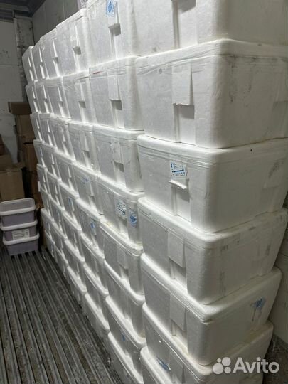 Икра горбуши оптом