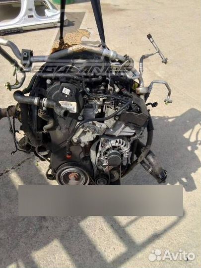 Двигатель Ford Focus D4204T 2012