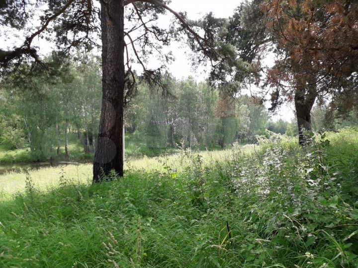 Участок 21 сот. (ИЖС)