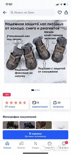 Зимняя обувь для собак