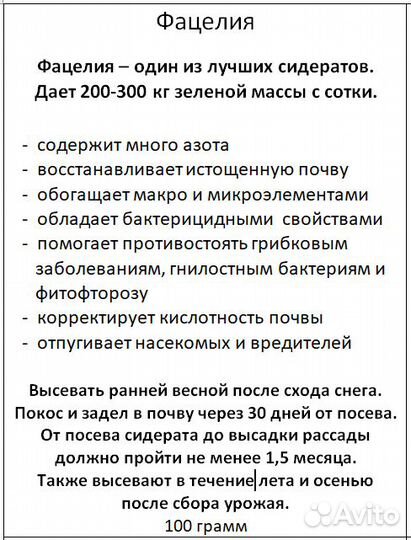 Сидерат. Фацелия