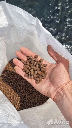 Корм для форели