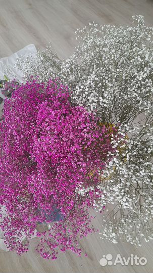 Гипсофила, хризантема букет на 1 сентября