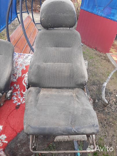 Синенье на ниву правое