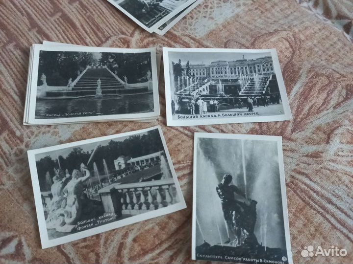 Фото снимки