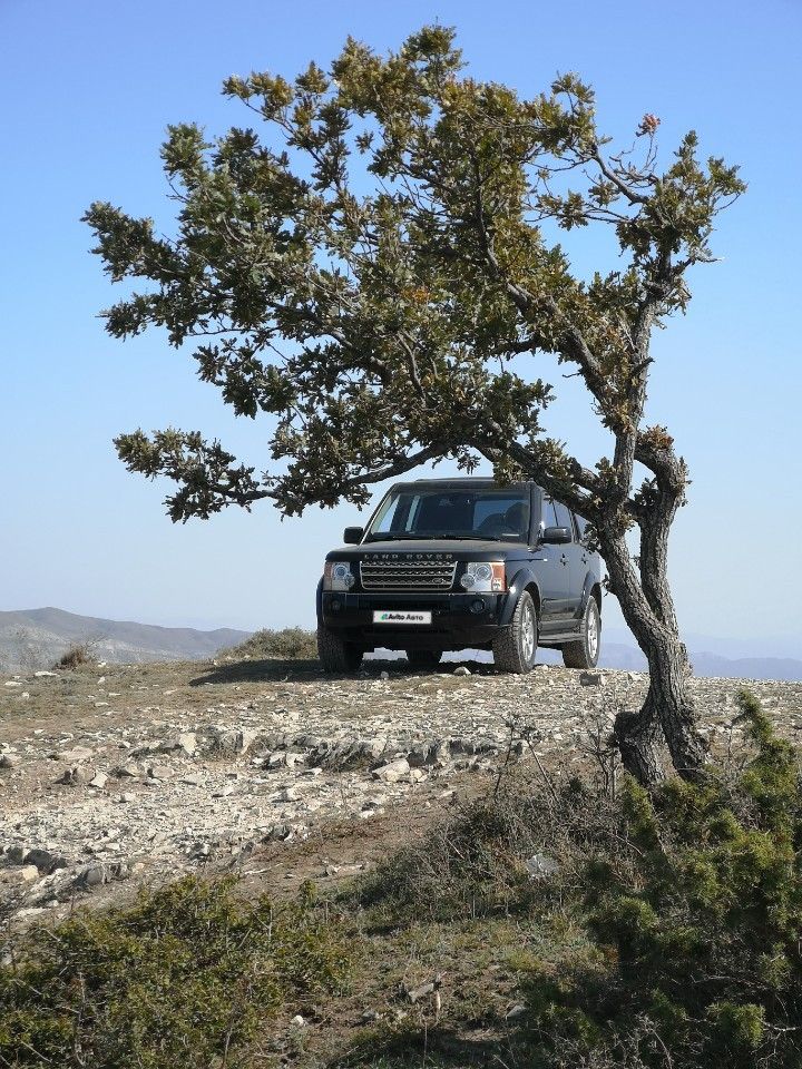 Land Rover Discovery: фото владельца