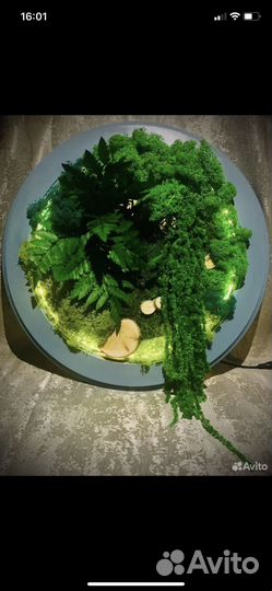 Панно из стабилизированных растений