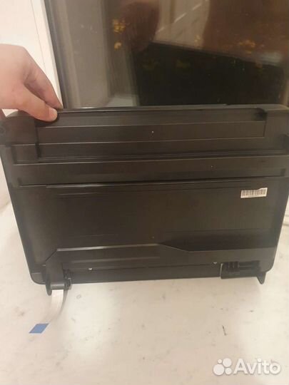 Сканер для принтера мфу epson