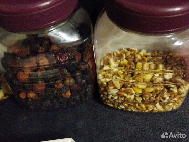 Корм для хомячка. Аксессуары