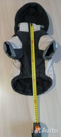 Комбинезон для маленькой собаки мальчик