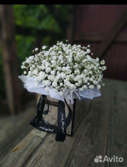 Гипсофила, композиция из живых цветов в коробочке