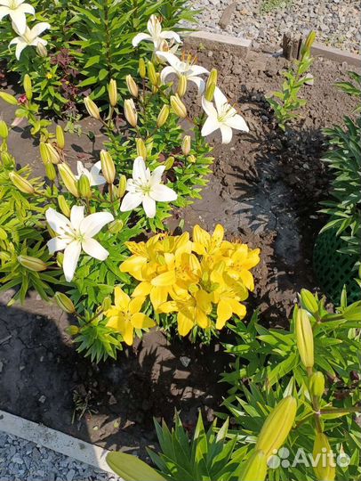 Абонемент в бассейн. Продам