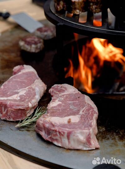 Гриль мангал барбекю