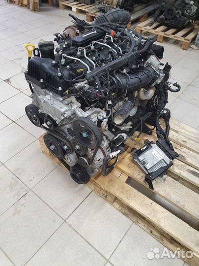 Двигатель d4hb Kia hyundai 2.2