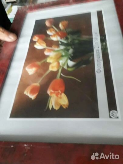 Рамки для фото