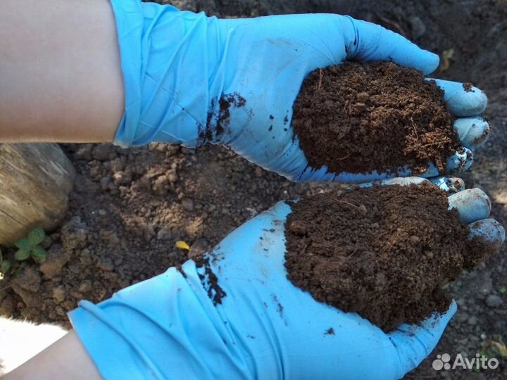 Органическое удобрение (перегной)