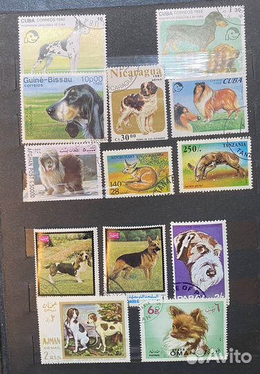 Почтовые марки по теме Собаки