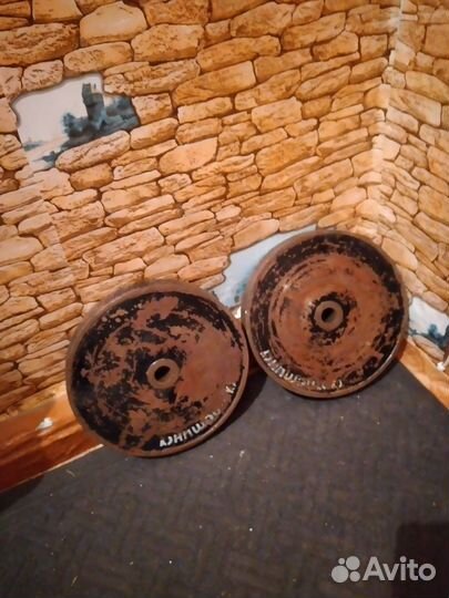 Блины для штанги 10 кг