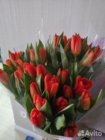 В наличии тюльпаны на 8 марта