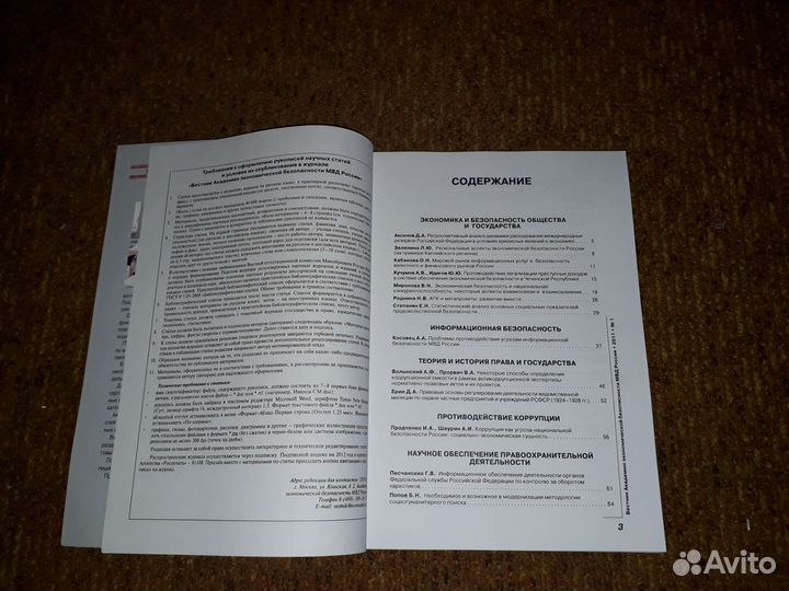 Экономическая безопасность России