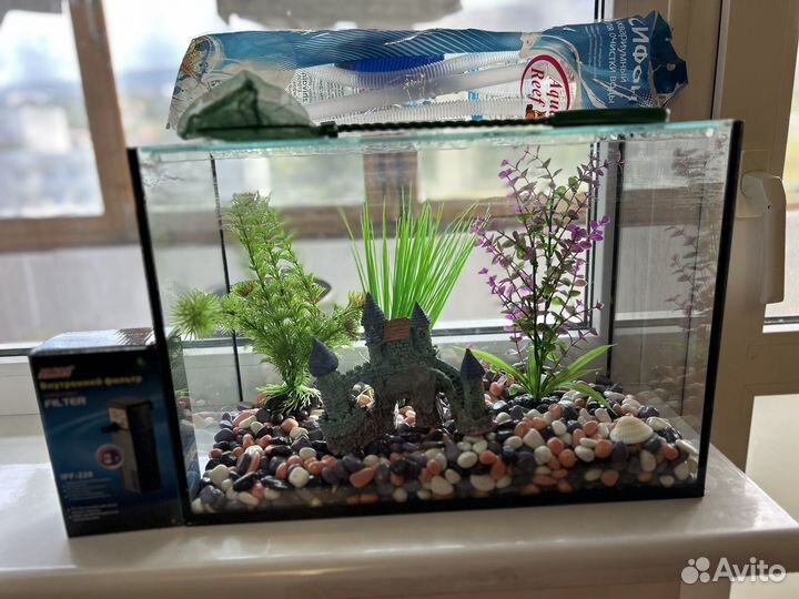 Аквариум