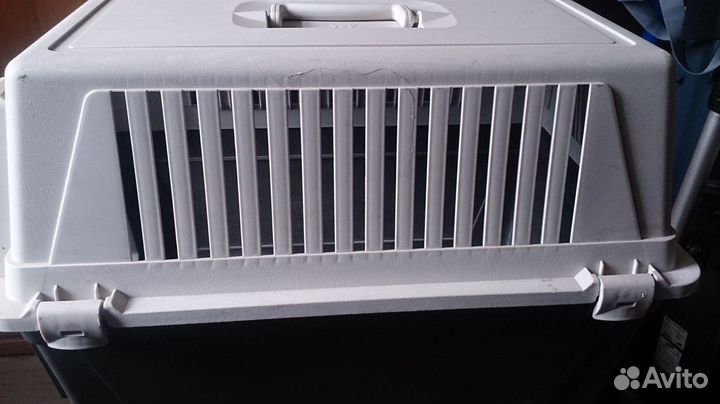 Кошачья переноска и туалет