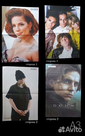 Плакаты все звëзды