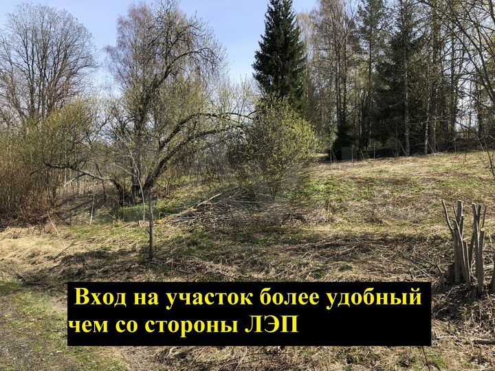 Участок 1,28 га (СНТ, ДНП)