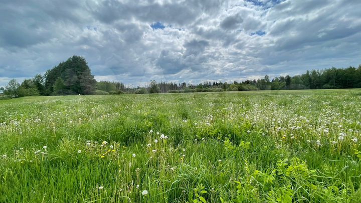 Участок 6,7 га (СНТ, ДНП)