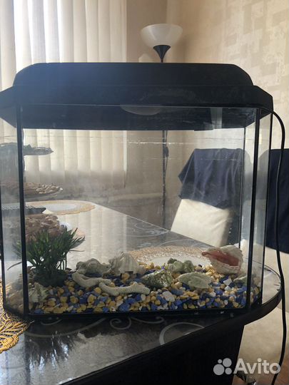Аквариум