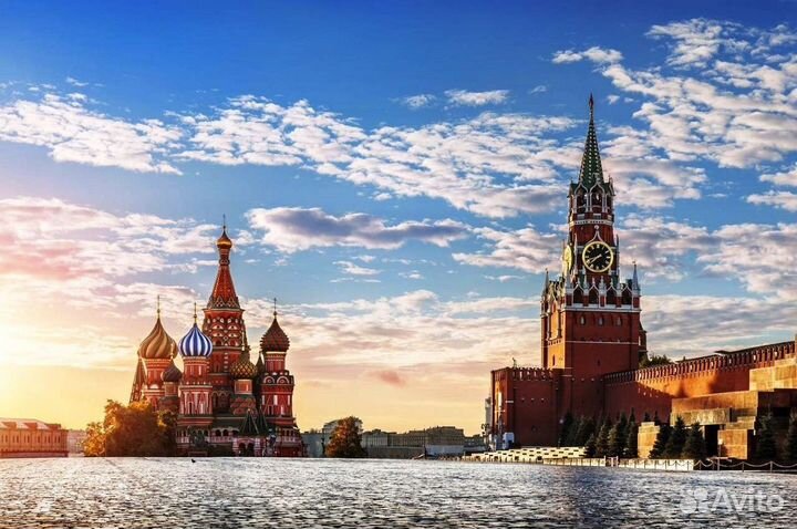 Москва+ Зоопарк