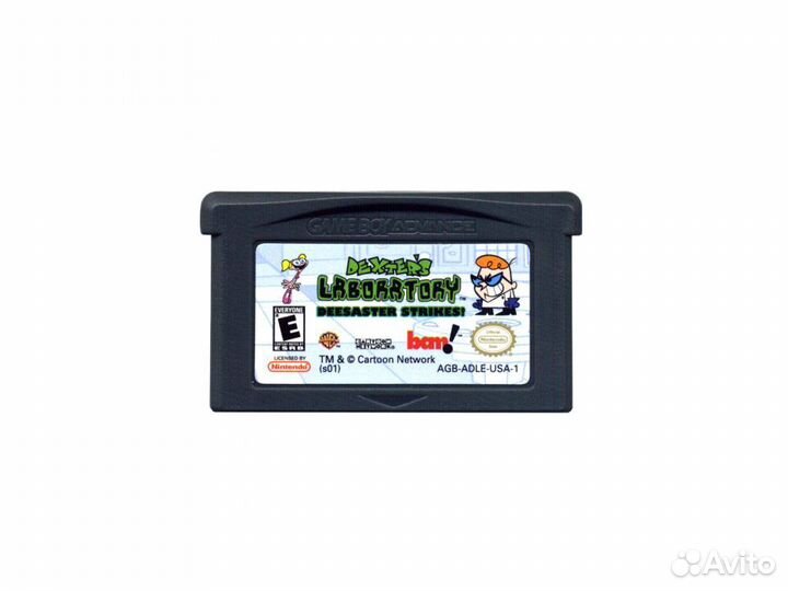 Nintendo Game Boy advance Dexters Laboratory deesa