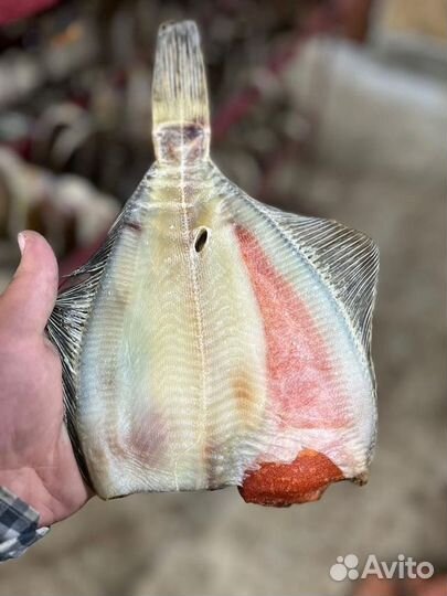 Рыба вяленая оптом