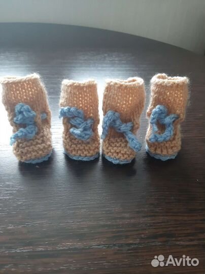 Одежда для собак