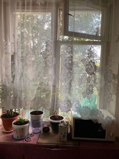 Комната 15 м² в 2-к., 3/9 эт.