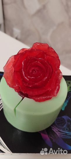 Молд та самая роза