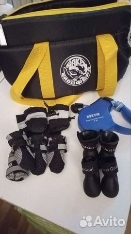 Сумка, обувь для собачки